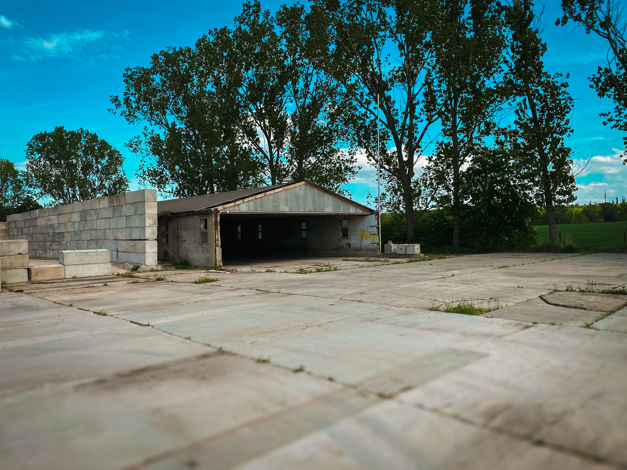 Freifläche eines ehemaligen Industrie- oder Militärstandorts, mit einer Betonplatte und einer offenen Halle umgeben von Bäumen.